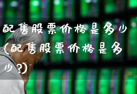 配售股票价格是多少(配售股票价格是多少?)_https://www.xzdzchf.com_北交所_第1张