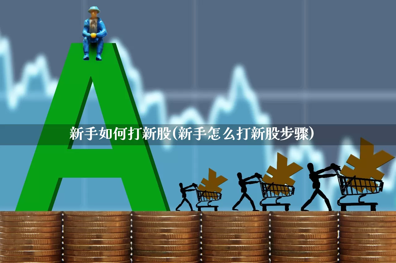 新手如何打新股(新手怎么打新股步骤)_https://www.xzdzchf.com_科创板_第1张