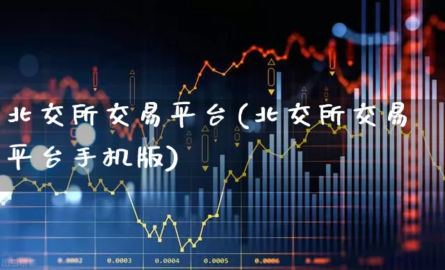 北交所交易平台(北交所交易平台手机版)_https://www.xzdzchf.com_上交所_第1张