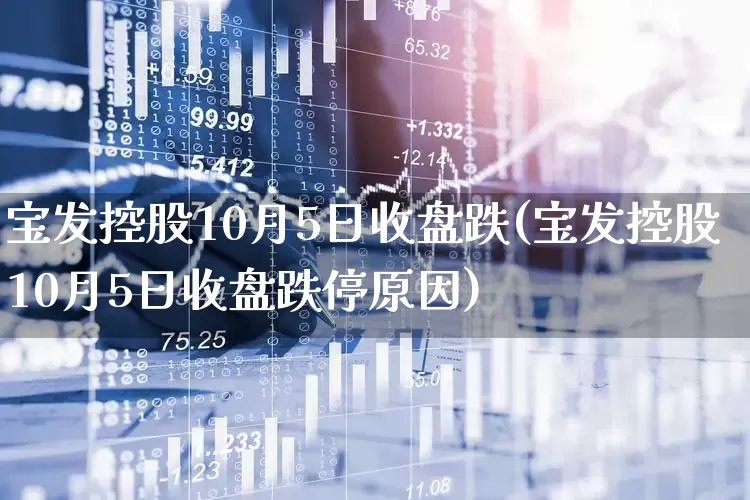 宝发控股10月5日收盘跌(宝发控股10月5日收盘跌停原因)_https://www.xzdzchf.com_北交所_第1张
