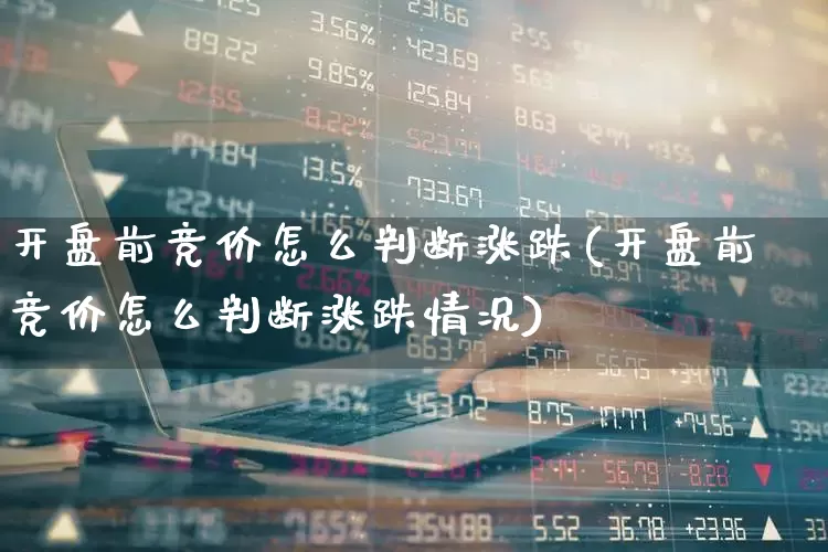 开盘前竞价怎么判断涨跌(开盘前竞价怎么判断涨跌情况)_https://www.xzdzchf.com_北交所_第1张