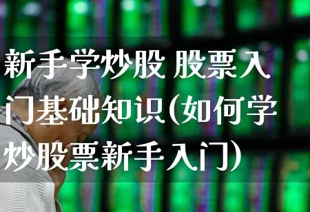 新手学炒股 股票入门基础知识(如何学炒股票新手入门)_https://www.xzdzchf.com_北交所_第1张