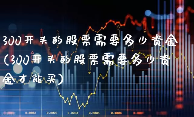 300开头的股票需要多少资金(300开头的股票需要多少资金才能买)_https://www.xzdzchf.com_深交所_第1张