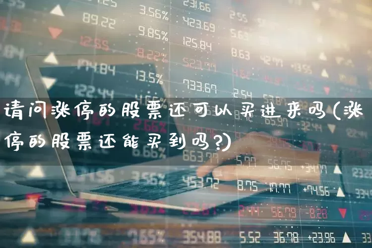 请问涨停的股票还可以买进来吗(涨停的股票还能买到吗?)_https://www.xzdzchf.com_深交所_第1张