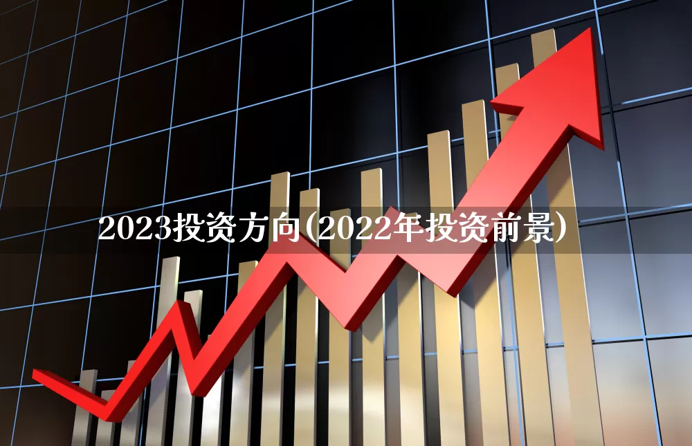 2023投资方向(2022年投资前景)_https://www.xzdzchf.com_科创板_第1张