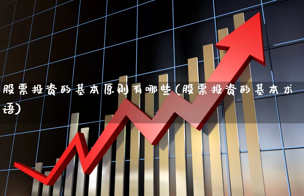 股票投资的基本原则有哪些(股票投资的基本术语)_https://www.xzdzchf.com_深交所_第1张