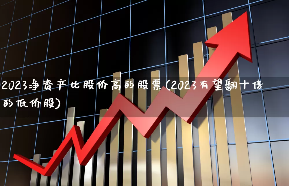 2023净资产比股价高的股票(2023有望翻十倍的低价股)_https://www.xzdzchf.com_北交所_第1张