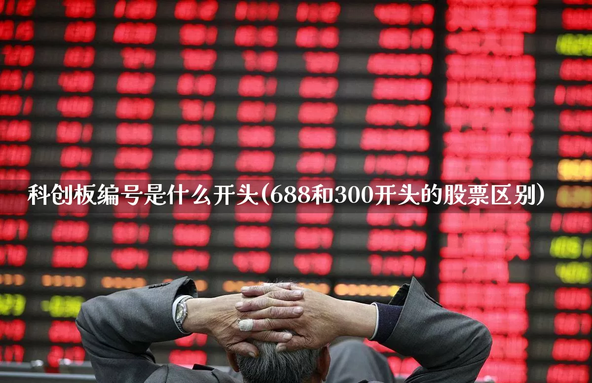 科创板编号是什么开头(688和300开头的股票区别)_https://www.xzdzchf.com_北交所_第1张
