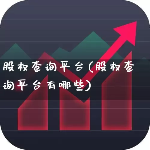 股权查询平台(股权查询平台有哪些)_https://www.xzdzchf.com_科创板_第1张