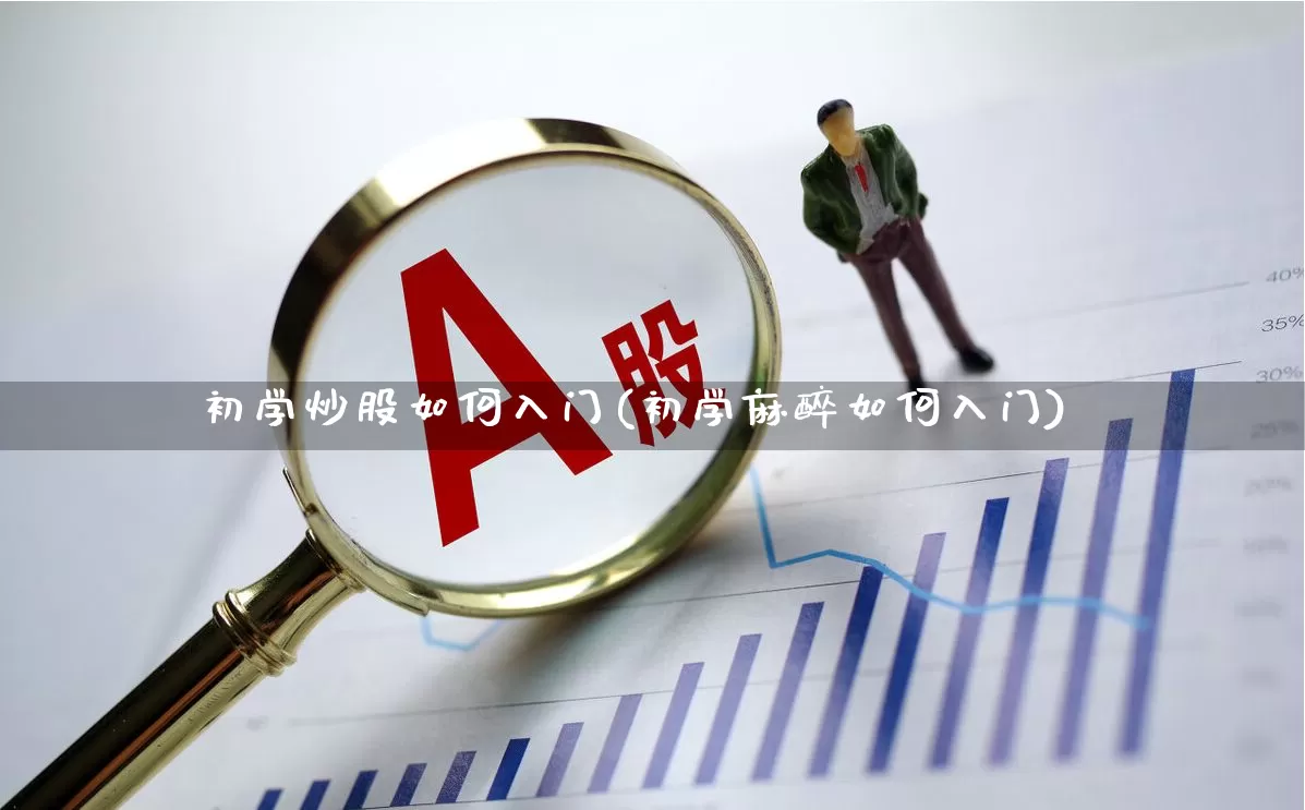 初学炒股如何入门(初学麻醉如何入门)_https://www.xzdzchf.com_科创板_第1张