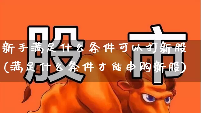 新手满足什么条件可以打新股(满足什么条件才能申购新股)_https://www.xzdzchf.com_深交所_第1张