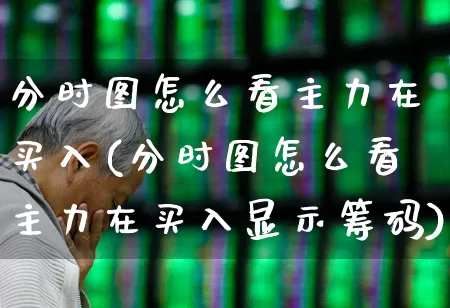 分时图怎么看主力在买入(分时图怎么看主力在买入显示筹码)_https://www.xzdzchf.com_北交所_第1张