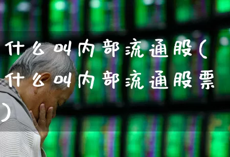 什么叫内部流通股(什么叫内部流通股票)_https://www.xzdzchf.com_创业板_第1张