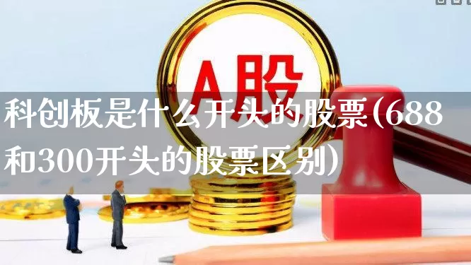 科创板是什么开头的股票(688和300开头的股票区别)_https://www.xzdzchf.com_创业板_第1张