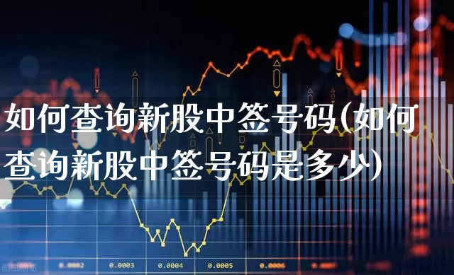 如何查询新股中签号码(如何查询新股中签号码是多少)_https://www.xzdzchf.com_科创板_第1张