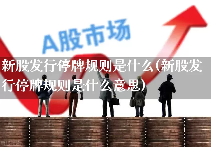 新股发行停牌规则是什么(新股发行停牌规则是什么意思)_https://www.xzdzchf.com_北交所_第1张