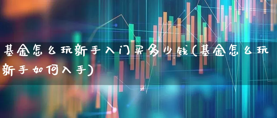 基金怎么玩新手入门买多少钱(基金怎么玩新手如何入手)_https://www.xzdzchf.com_北交所_第1张