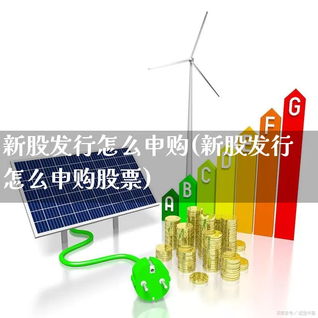 新股发行怎么申购(新股发行怎么申购股票)_https://www.xzdzchf.com_科创板_第1张