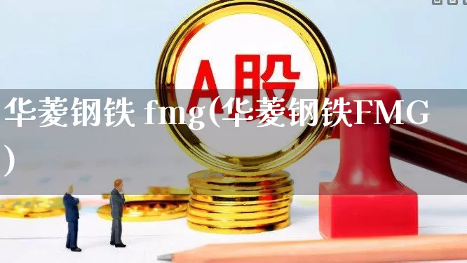 华菱钢铁 fmg(华菱钢铁FMG)_https://www.xzdzchf.com_北交所_第1张