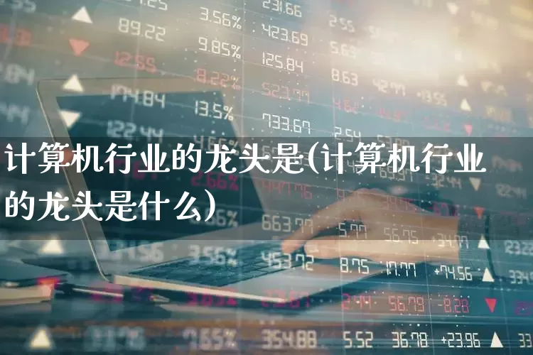 计算机行业的龙头是(计算机行业的龙头是什么)_https://www.xzdzchf.com_科创板_第1张