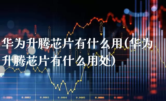 华为升腾芯片有什么用(华为升腾芯片有什么用处)_https://www.xzdzchf.com_北交所_第1张