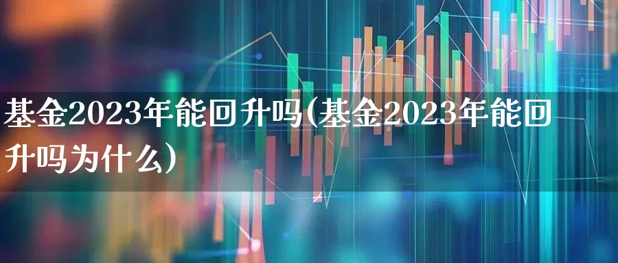 基金2023年能回升吗(基金2023年能回升吗为什么)_https://www.xzdzchf.com_创业板_第1张