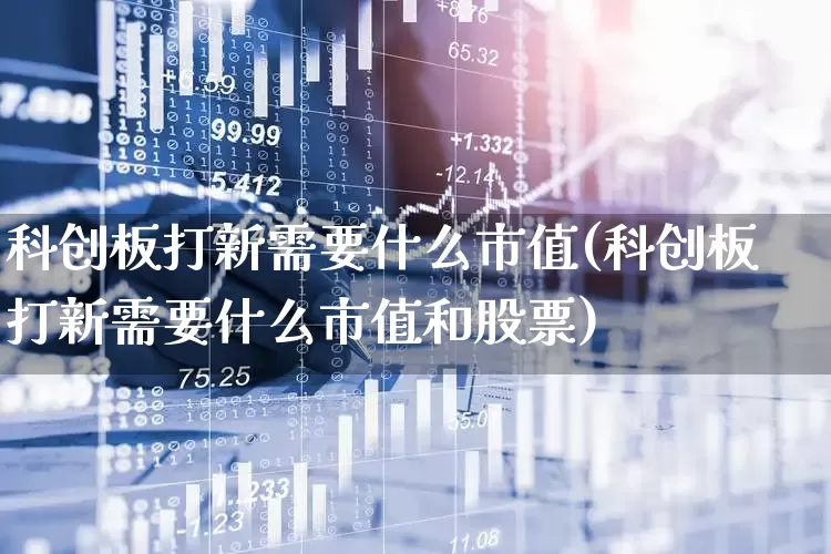 科创板打新需要什么市值(科创板打新需要什么市值和股票)_https://www.xzdzchf.com_上交所_第1张