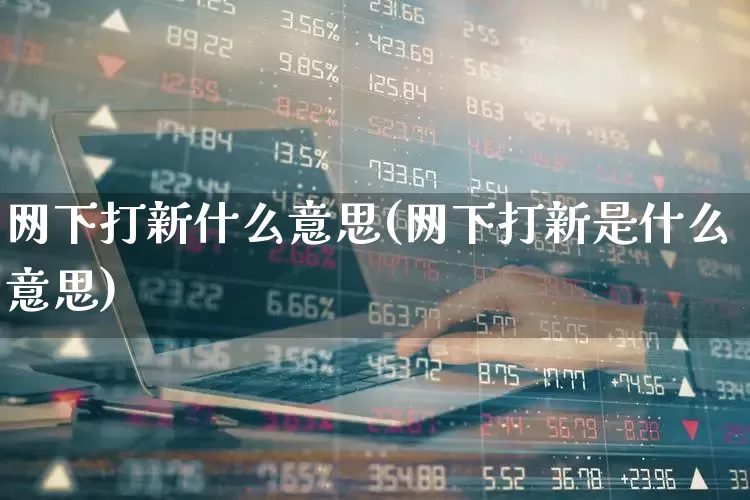 网下打新什么意思(网下打新是什么意思)_https://www.xzdzchf.com_创业板_第1张