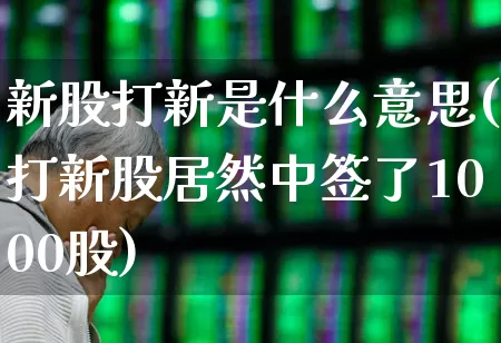 新股打新是什么意思(打新股居然中签了1000股)_https://www.xzdzchf.com_上交所_第1张