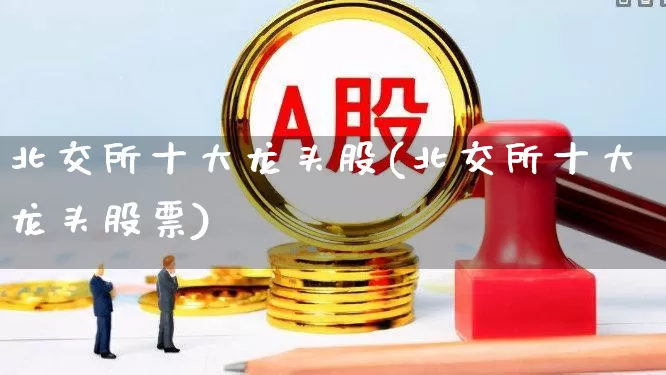 北交所十大龙头股(北交所十大龙头股票)_https://www.xzdzchf.com_创业板_第1张