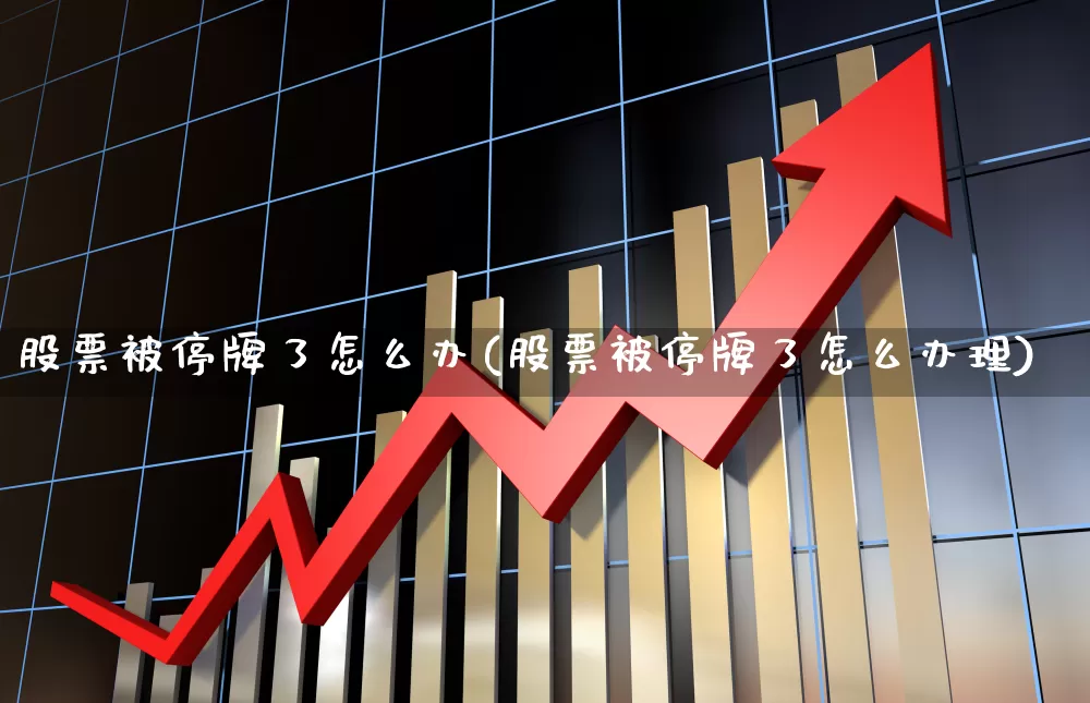 股票被停牌了怎么办(股票被停牌了怎么办理)_https://www.xzdzchf.com_北交所_第1张
