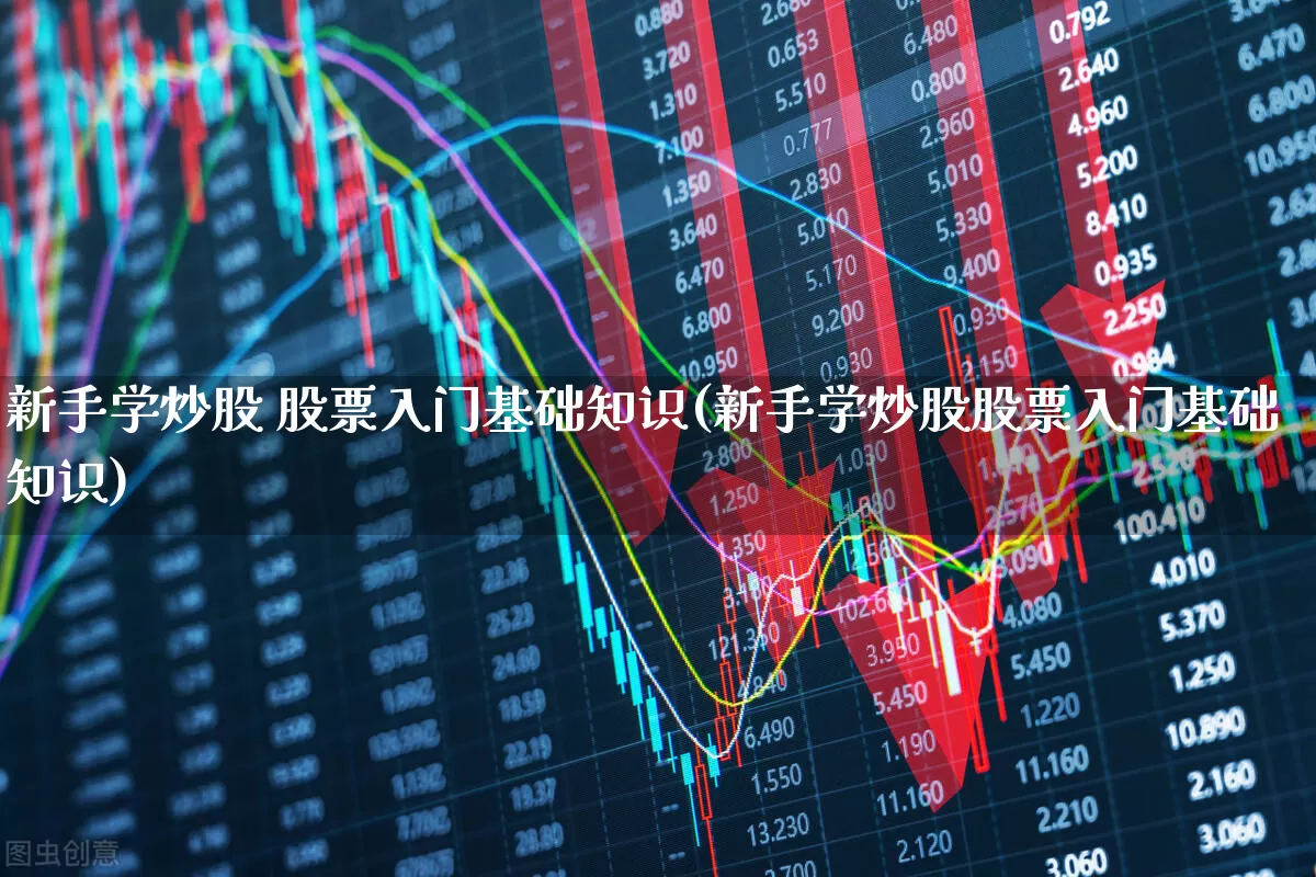 新手学炒股 股票入门基础知识(新手学炒股股票入门基础知识)_https://www.xzdzchf.com_科创板_第1张