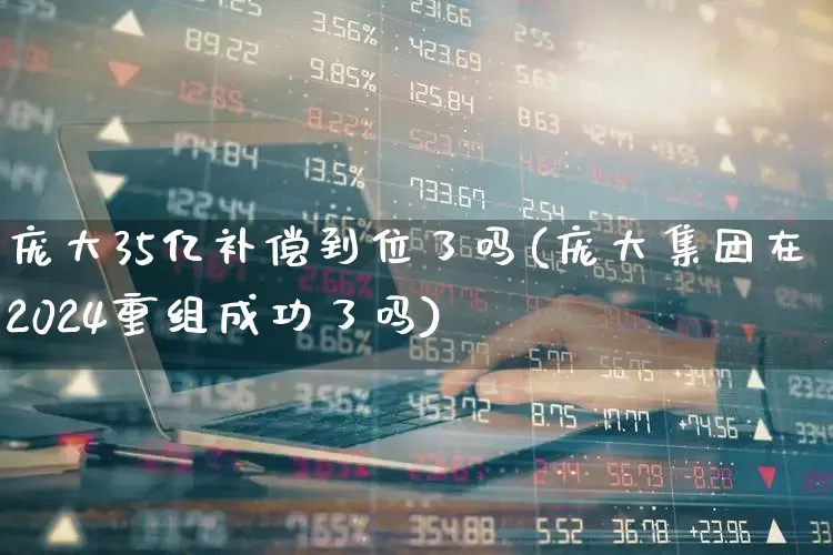 庞大35亿补偿到位了吗(庞大集团在2024重组成功了吗)_https://www.xzdzchf.com_科创板_第1张