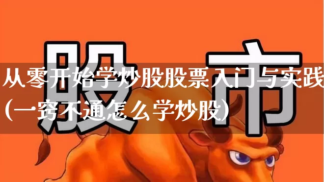 从零开始学炒股股票入门与实践(一窍不通怎么学炒股)_https://www.xzdzchf.com_北交所_第1张