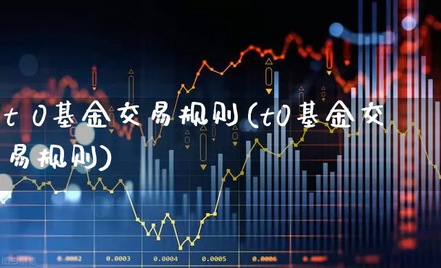 t 0基金交易规则(t0基金交易规则)_https://www.xzdzchf.com_北交所_第1张