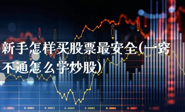 新手怎样买股票最安全(一窍不通怎么学炒股)_https://www.xzdzchf.com_上交所_第1张