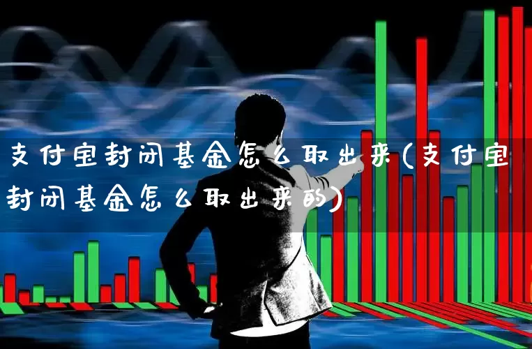 支付宝封闭基金怎么取出来(支付宝封闭基金怎么取出来的)_https://www.xzdzchf.com_科创板_第1张