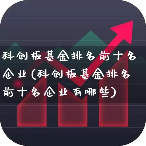 科创板基金排名前十名企业(科创板基金排名前十名企业有哪些)_https://www.xzdzchf.com_创业板_第1张