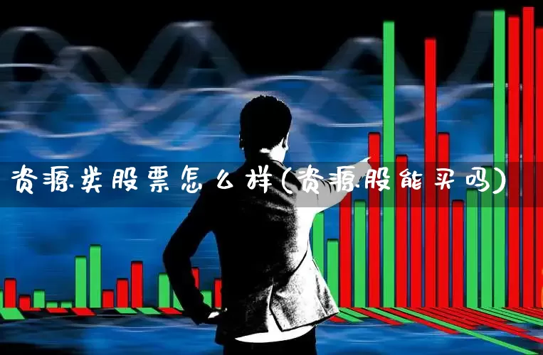 资源类股票怎么样(资源股能买吗)_https://www.xzdzchf.com_科创板_第1张
