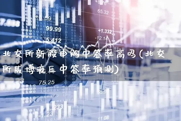 北交所新股申购中签率高吗(北交所威博液压中签率预测)_https://www.xzdzchf.com_北交所_第1张