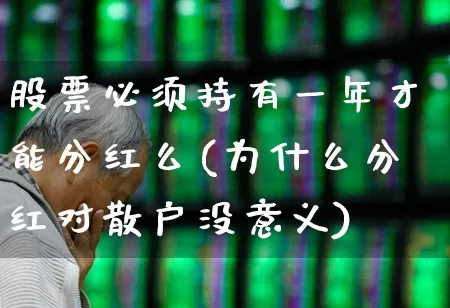 股票必须持有一年才能分红么(为什么分红对散户没意义)_https://www.xzdzchf.com_深交所_第1张