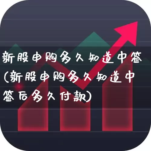 新股申购多久知道中签(新股申购多久知道中签后多久付款)_https://www.xzdzchf.com_科创板_第1张