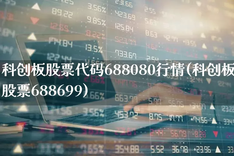 科创板股票代码688080行情(科创板股票688699)_https://www.xzdzchf.com_科创板_第1张