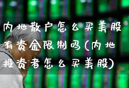 内地散户怎么买美股有资金限制吗(内地投资者怎么买美股)_https://www.xzdzchf.com_科创板_第1张