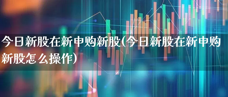 今日新股在新申购新股(今日新股在新申购新股怎么操作)_https://www.xzdzchf.com_深交所_第1张