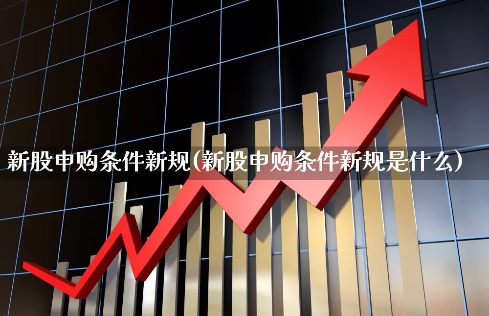 新股申购条件新规(新股申购条件新规是什么)_https://www.xzdzchf.com_北交所_第1张