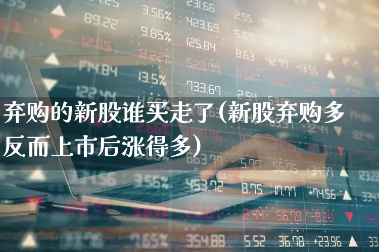 弃购的新股谁买走了(新股弃购多反而上市后涨得多)_https://www.xzdzchf.com_北交所_第1张