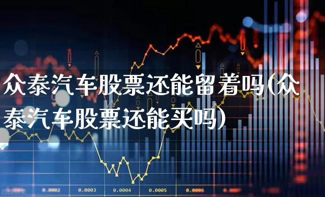 众泰汽车股票还能留着吗(众泰汽车股票还能买吗)_https://www.xzdzchf.com_创业板_第1张