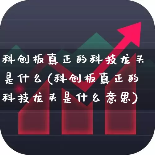 科创板真正的科技龙头是什么(科创板真正的科技龙头是什么意思)_https://www.xzdzchf.com_创业板_第1张