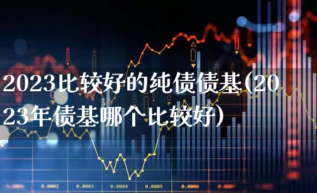 2023比较好的纯债债基(2023年债基哪个比较好)_https://www.xzdzchf.com_创业板_第1张
